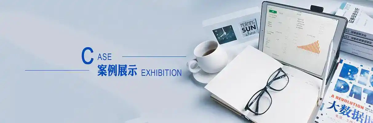 卧龙区软件开发